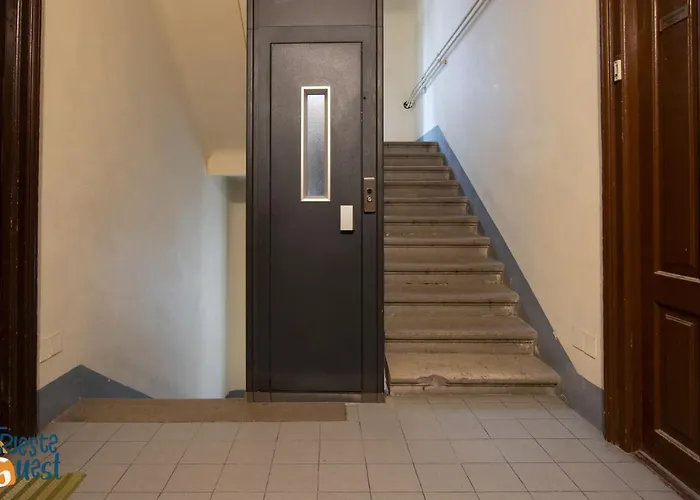 Gracie's Getaway X6 Trieste